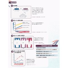 その他詳細1: RDテスト「昭和」