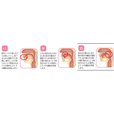 画像2: 口腔機能測定機器　健口くん ハンディII